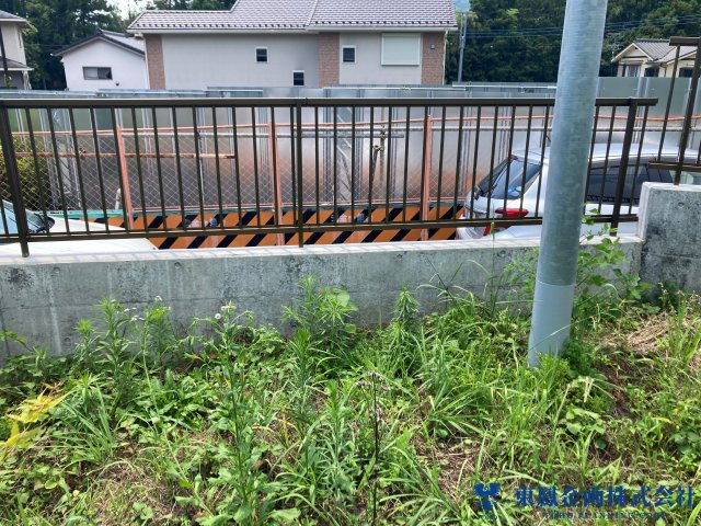 2026年7月　撮影