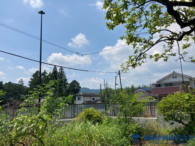 2026年7月　撮影