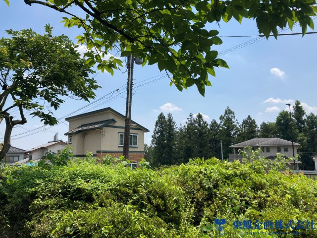 2026年7月　撮影