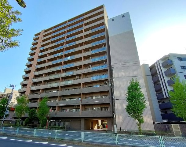 外観：313004666655