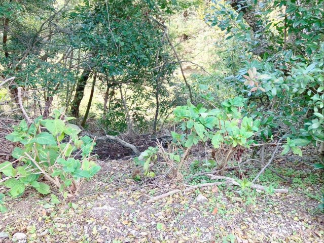 外観：340000259096