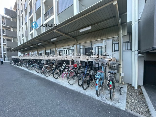 令和8年1月27日撮影。