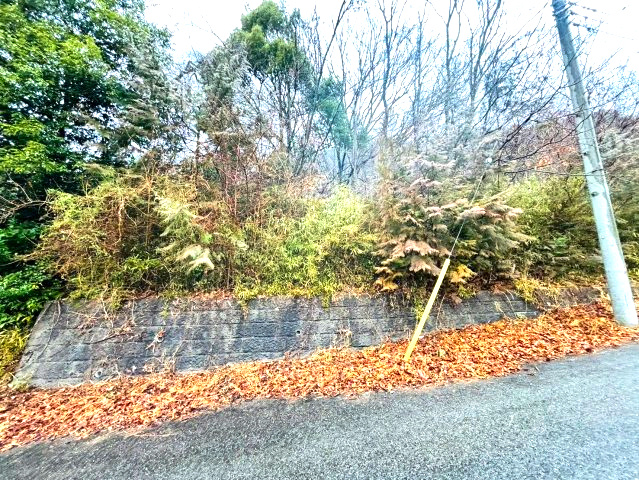 外観：309000087221