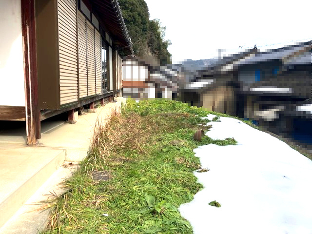 庭