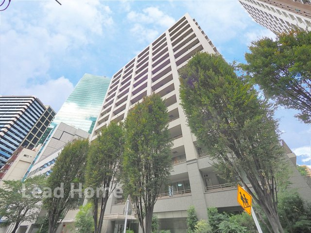 外観：313004684374