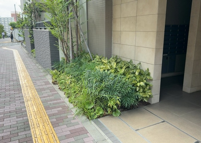 中庭（パティオ）とは、一つの建築物の内部に設けられた、壁などで囲われている庭のことを指します。コの字型、ロの字型が主流ですが、L字型の中庭もあります。最近では、インテリア性の高さからも人気があります。