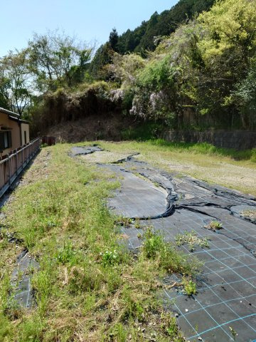 更地