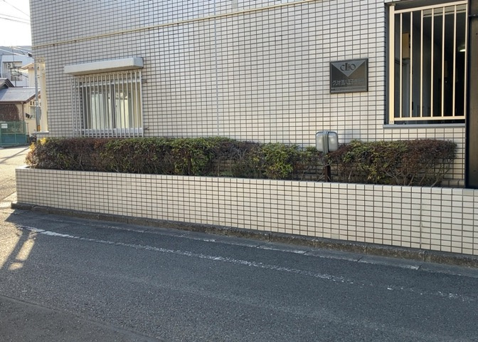 中庭（パティオ）とは、一つの建築物の内部に設けられた、壁などで囲われている庭のことを指します。コの字型、ロの字型が主流ですが、L字型の中庭もあります。最近では、インテリア性の高さからも人気があります。