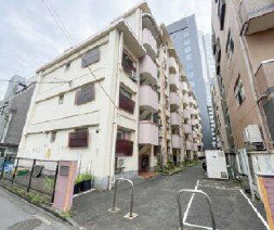 外観：313004584591