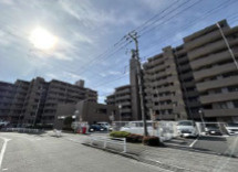 外観：313004654905