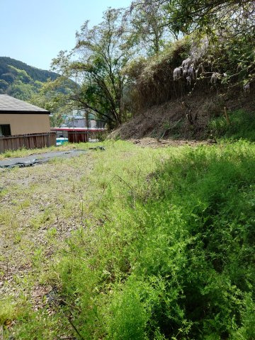 閑静な住宅街