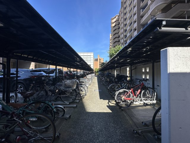 駐輪場です。綺麗に整頓されていて、管理体制も良好です。