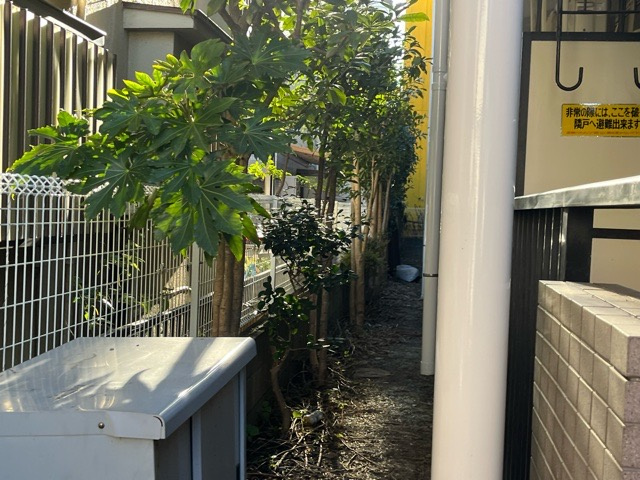 物件によっては、入居者が個人的に使用できる専用庭がついているものもあります。また、住宅の中にある土間の部分を庭と呼ぶこともあります。庭の用途は住む人によって変わり、それによってデザインもさまざまです。