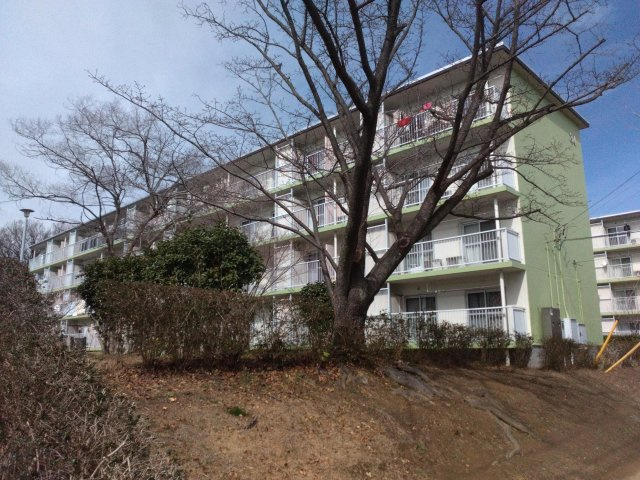 外観：314002652370