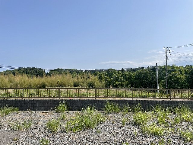 土地の内部から南方向への写真です。