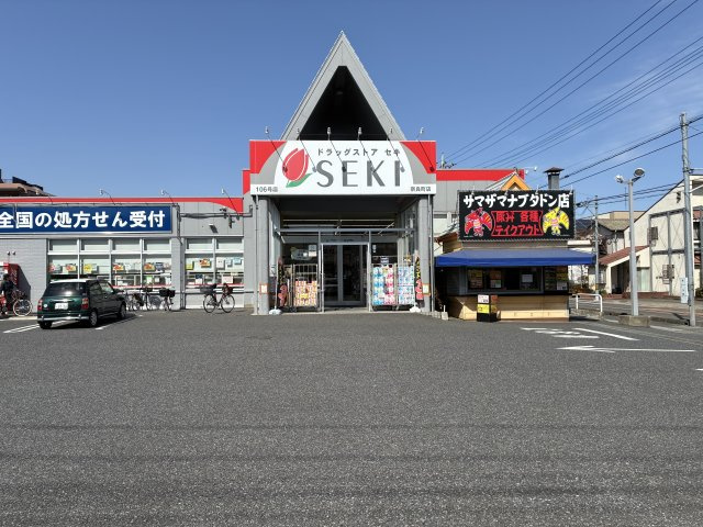 ドラッグストアセキまで徒歩6分