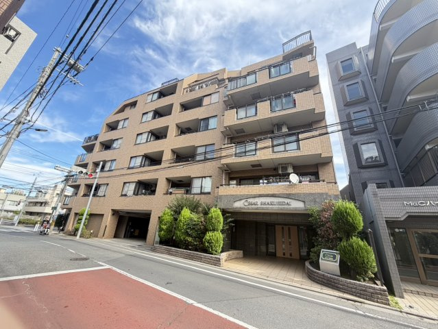 外観：313004509659