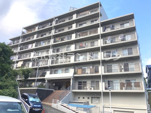 外観：311002275559