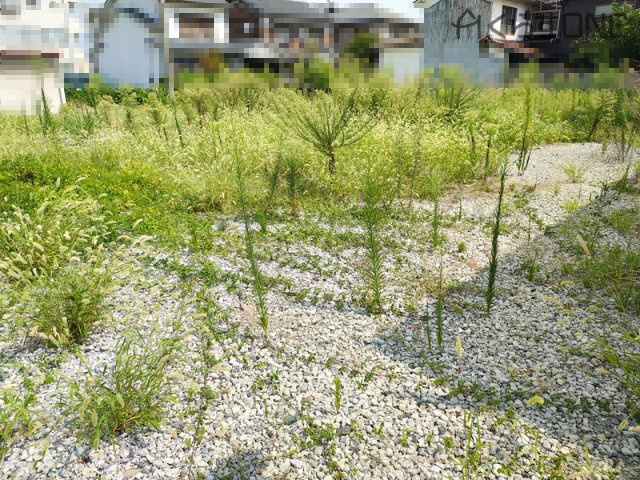 外観：328000548776