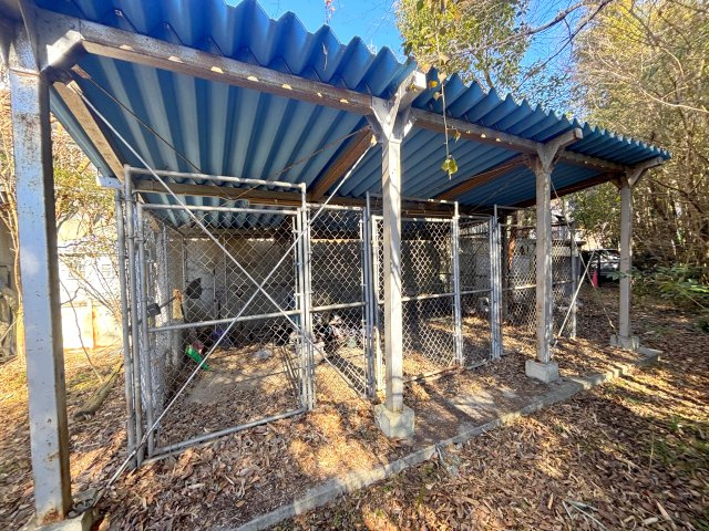 ブリーダーさんはもちろん、なかなか飼えない大型動物も伸び伸びと飼育できます！