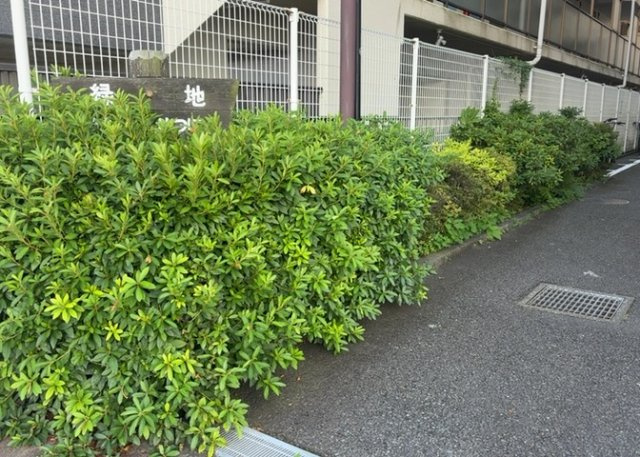 物件によっては、入居者が個人的に使用できる専用庭がついているものもあります。また、住宅の中にある土間の部分を庭と呼ぶこともあります。庭の用途は住む人によって変わり、それによってデザインもさまざまです。