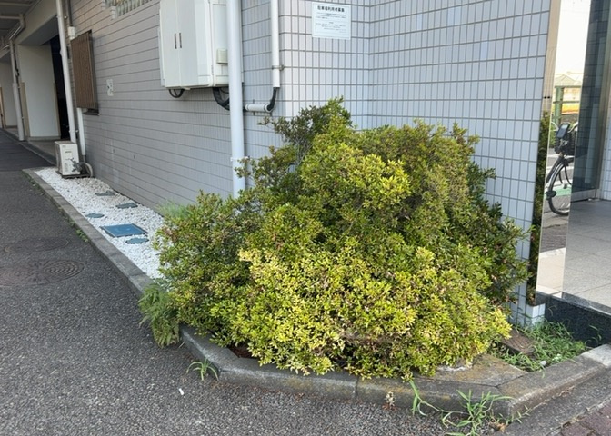 中庭（パティオ）とは、一つの建築物の内部に設けられた、壁などで囲われている庭のことを指します。コの字型、ロの字型が主流ですが、L字型の中庭もあります。最近では、インテリア性の高さからも人気があります。