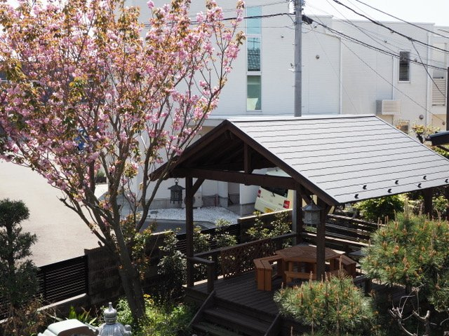 庭