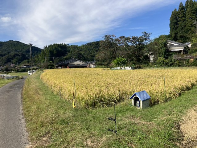 外観：346000037473