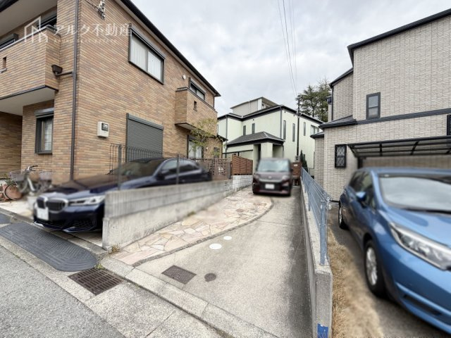 2026年3月16日撮影