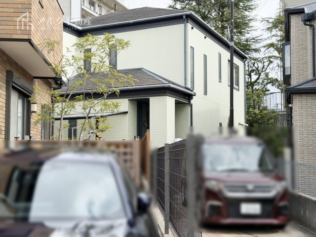 2026年3月16日撮影