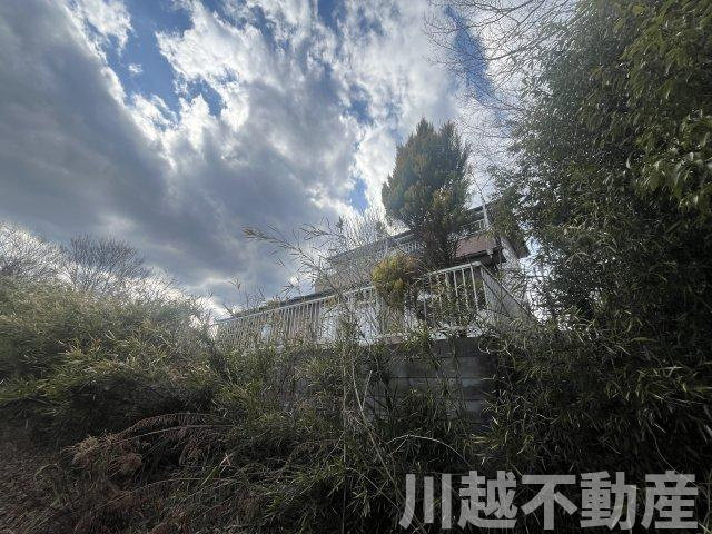 南東側の遊歩道から見た外観