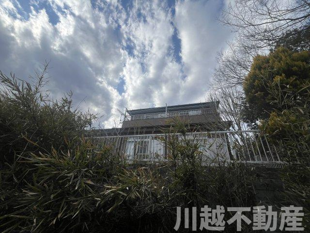 南東側の遊歩道から見た外観