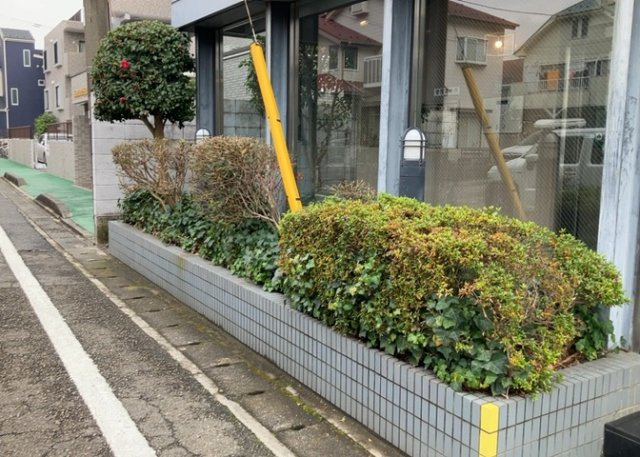 中庭（パティオ）とは、一つの建築物の内部に設けられた、壁などで囲われている庭のことを指します。コの字型、ロの字型が主流ですが、L字型の中庭もあります。最近では、インテリア性の高さからも人気があります。