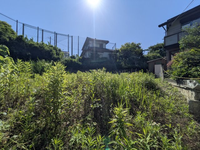 現地は日当たり良好です。