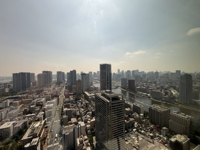 リビングからの眺め（南西側）