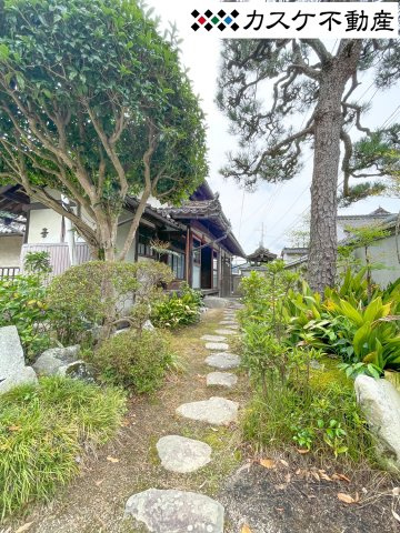 庭