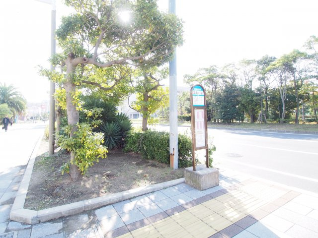 マンション横のバス停