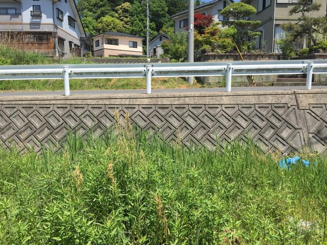 敷地中央からみた景色