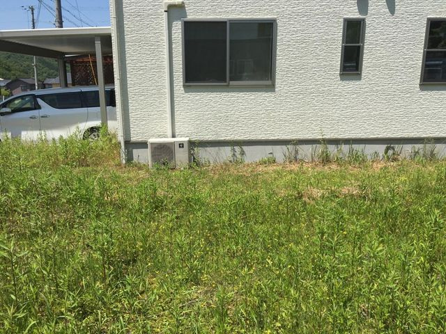 敷地中央からみた景色