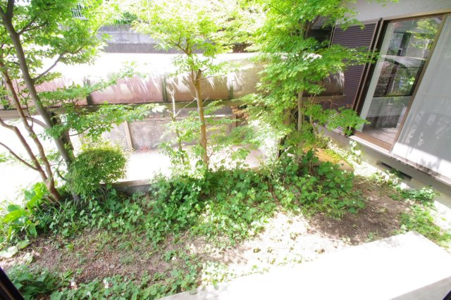 庭の植栽等は撤去予定