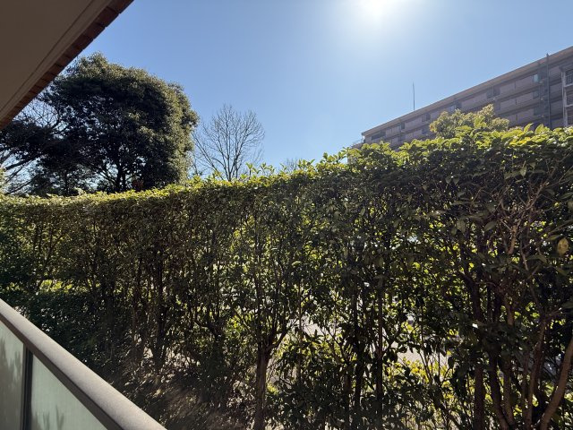 庭