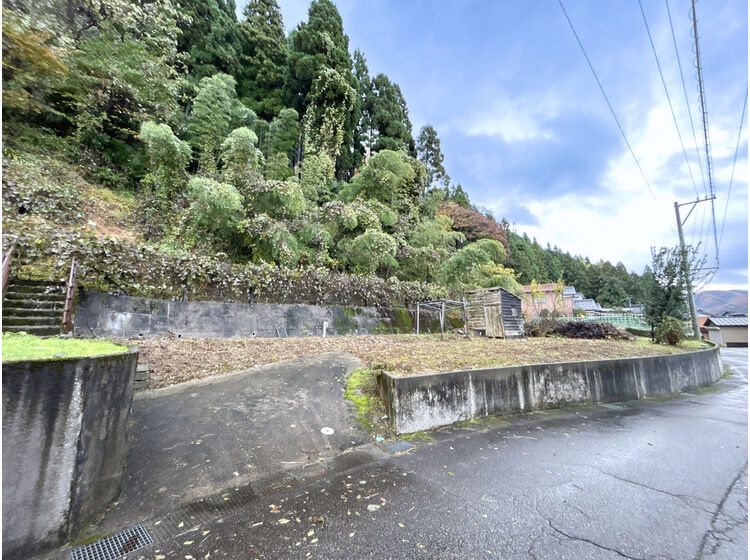 外観：317000008701