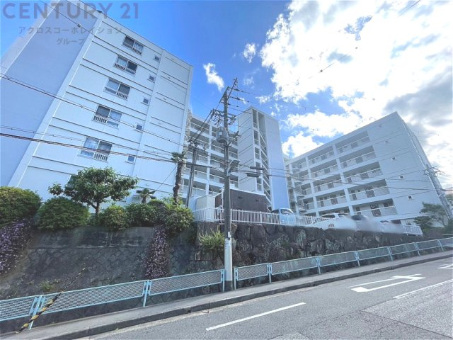 外観：328000666703