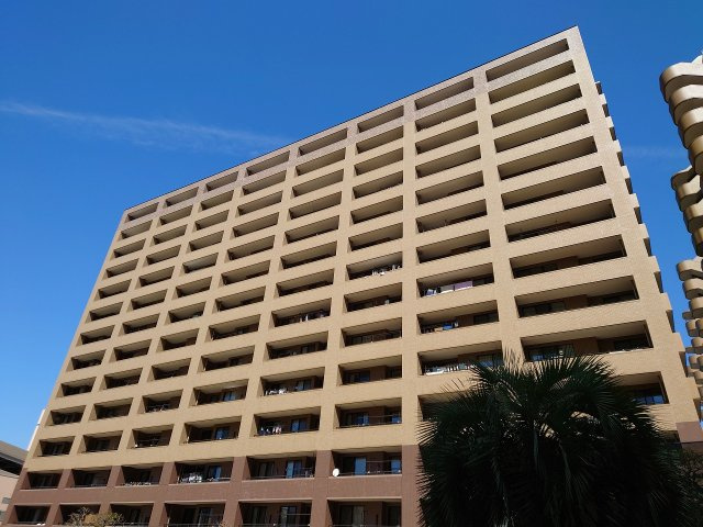 外観：312001213786