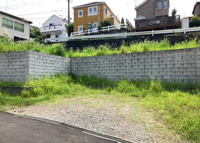 外観：313004304292