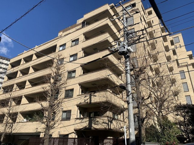 外観：313004677599