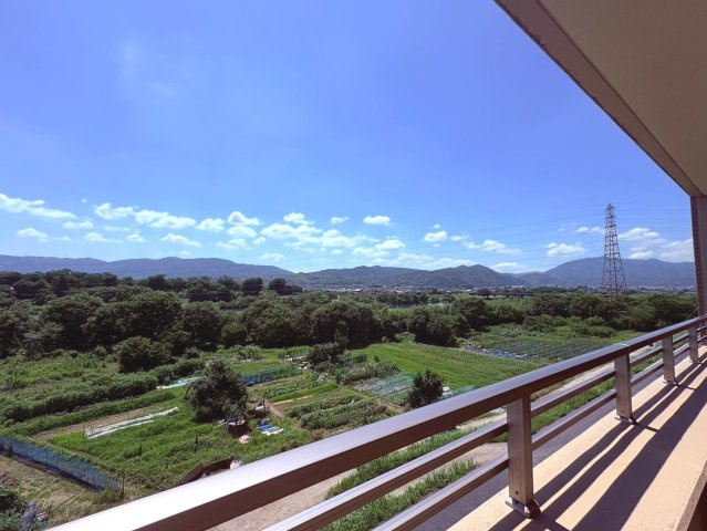 展望