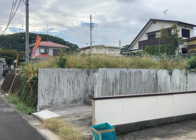 外観：313004455511