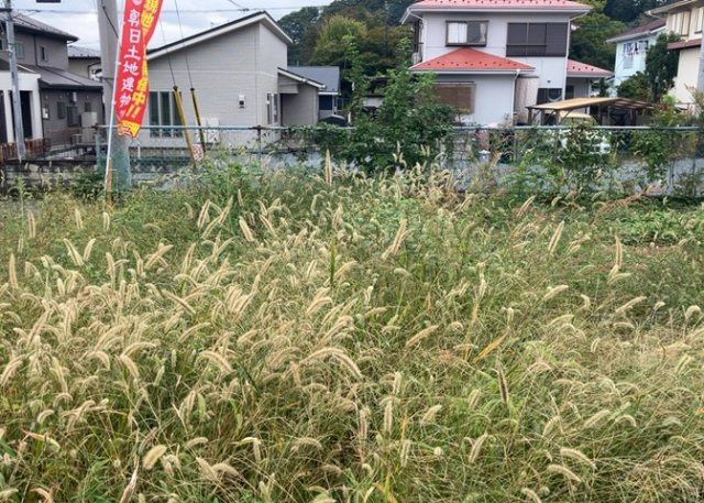 人が暮らすうえで日光は大切な要素となります。日当たりの良さは譲れないポイントですね。併せて近くに大きな建築物の建築予定がないか、あるいはそれが可能な土地が近くにないか事前に確認することもお勧めします。