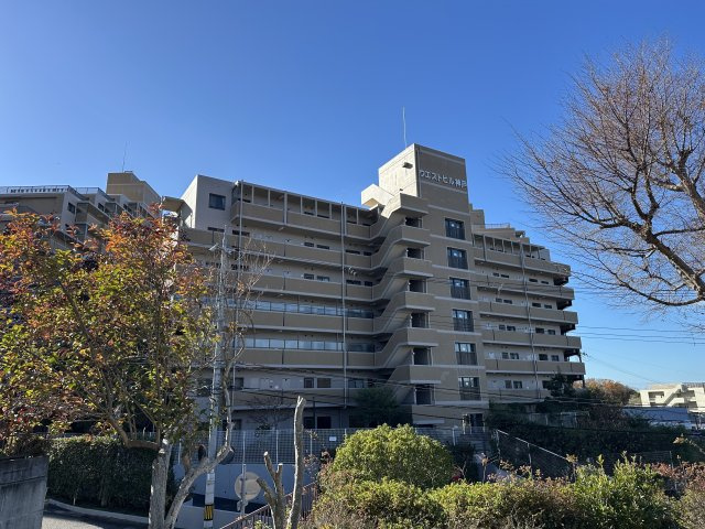 外観：328000573683